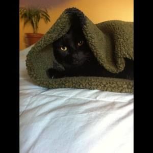 Meet your Posher, Todd